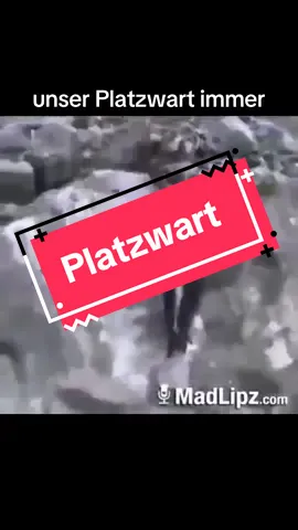 #kreisliga #kreisligalegende #viral #foryoupage #fypシ 