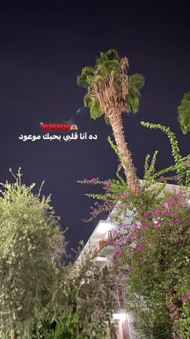 ده أنا قلبي بحبك موعود ♥️♥️♥️🫶🏻#fyp #viral #foryoupage #viralvideo #music 