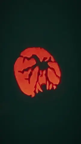 🎃time  #pumpkinseason #pumpkin #cravingpumpkins #halloween #spooky 