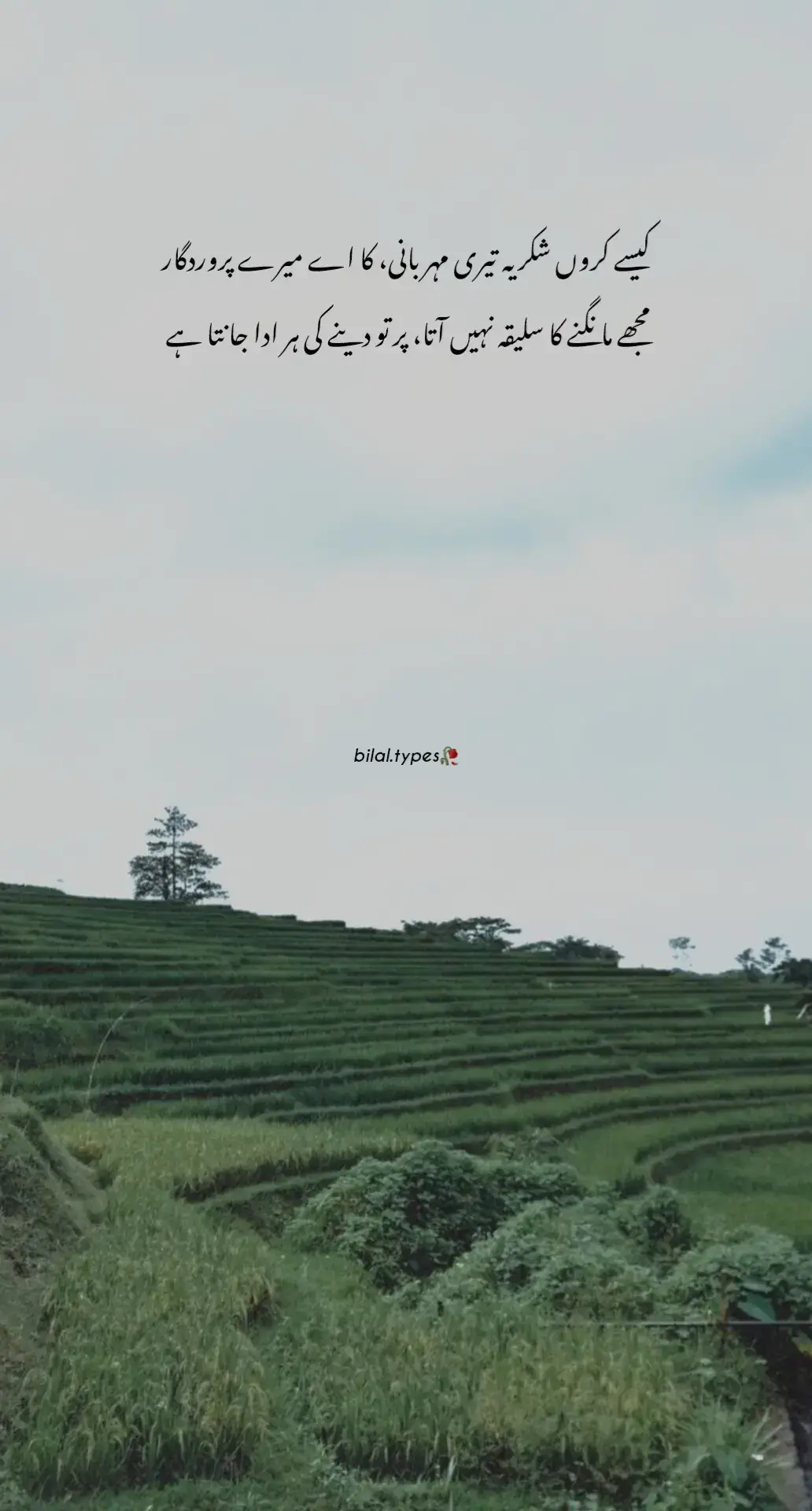 #fyp #...🤍...🎇...!!!