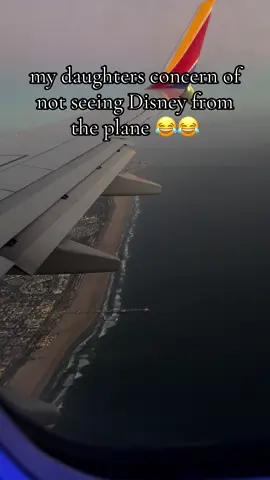 who’s child? 😂😂 *sound on* #thebeach #plane 