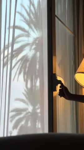 #foryou #fypシ゚ 🪟