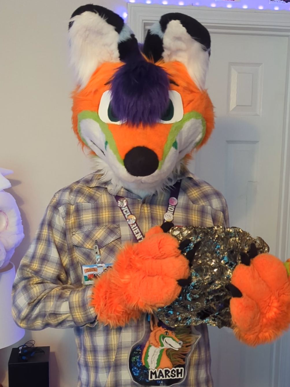 Happy Fursuit Friday, sample of the week is this spectacular Biotite Mica book from the McGuire Mine, Macon County, NC. This sample was pulled from the tailings at the mine, which was a roughly 100 tench dug into the side of the mountain. Biotite forms in sheets which can reach quite large sizes. This sample was actually a pretty good pull, books this large that hold together well are quite uncommon.  McGuire Mine Information: https://www.mindat.org/loc-101297.html #fursuit #fursuitfriday #geology #crystals #minerals 