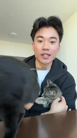 Dogs just be letting ANYONE touch them