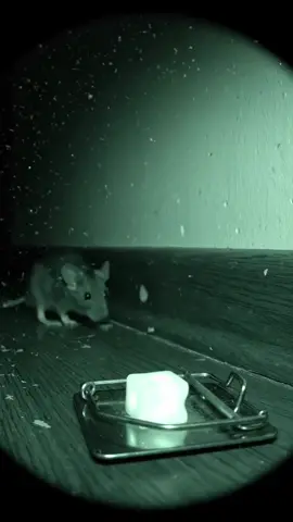 Never expected that funny video #lmao #comedy #comedyvideo #shorts #funnytiktok 