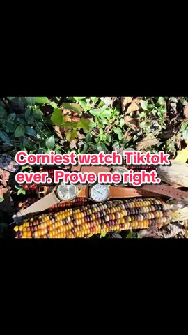 This is the corniest #watch video ever. Sorry. Had to do it.  #fypシ #viral #1803 #fall