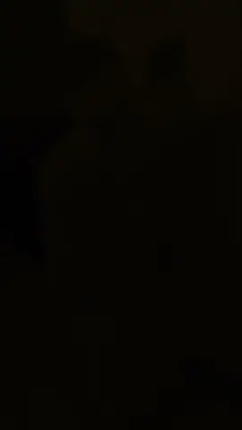 #CapCut 