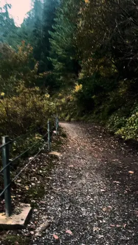 #CapCut #fyp #viral #moreviews #🥀🖤 