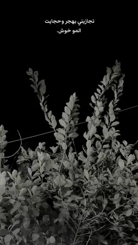 #اقتباسات #شعر_شعبي #شعر #كركوك #fyp #foryou #ترند #الموصل #ستوريات 