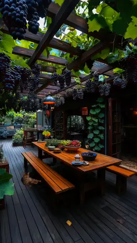 #nature #naturevibes #naturelover #paisagem #fouryou 