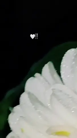 #fypシ゚viral🖤tiktok☆♡ 