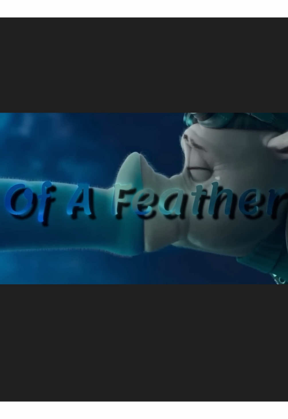 Hitpig and pickles have such a sad story 😔 🕊️ | Two Birds #edit #reginaspektor #sad #hitpig #song 