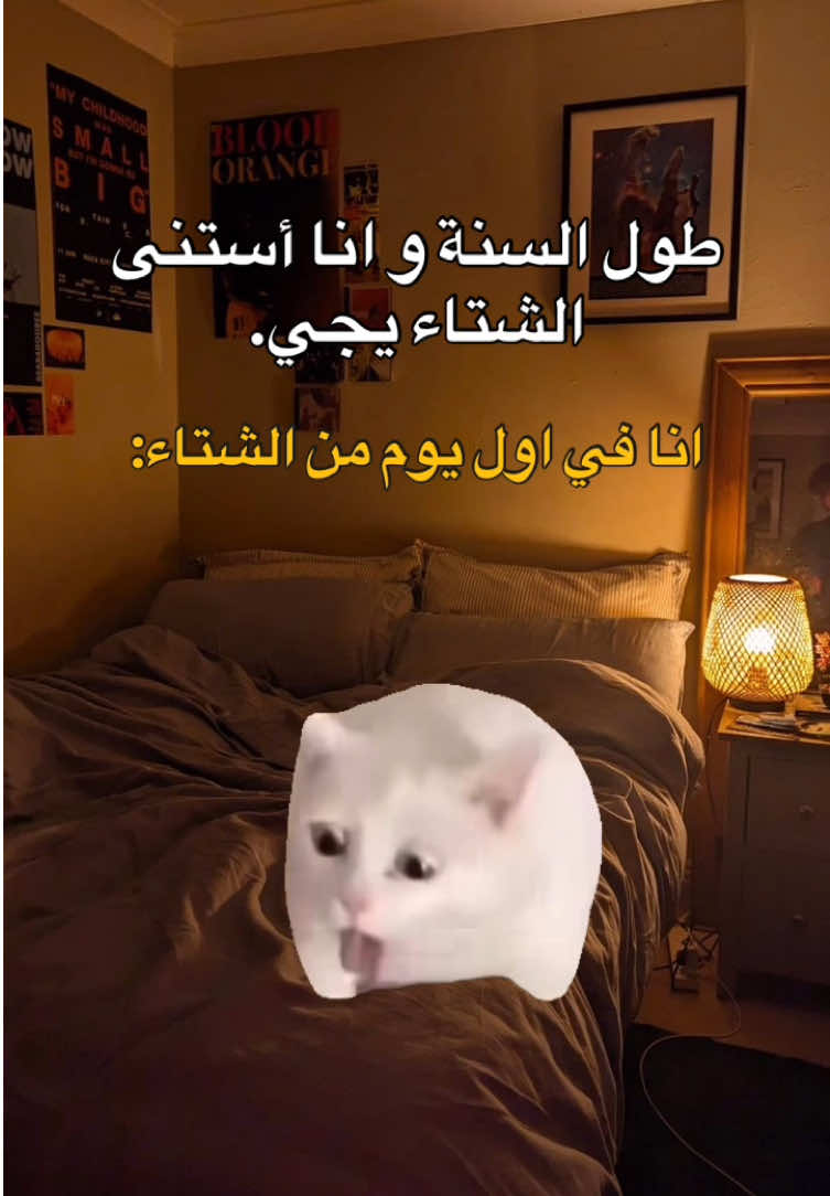 حقيقة🤣🤣🤣.  #fyp #viral #explore #الشعب_الصيني_ماله_حل😂😂 #مالي_خلق_احط_هاشتاقات #foryou #memes #منشن_للي_تحبه #طاقيه_طاقيها😁❤️💍 #حقيقة #ميمز_العرب 