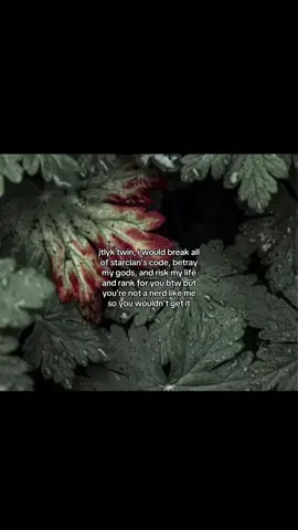 WARRIOR CATS!! Oh how I love leafpool bro, I’ve even got a plushie of her :>>ok well my video should go viral.. right? #leafpool #leafpoolwarriorcats #warriorcats #fyp #viral