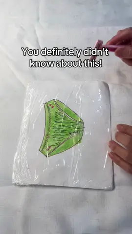 This DIY trick changes everything! Quick, simple, and you’ll wish you knew this sooner. #LifeHack #DIYBeauty #SelfCareTips #tipsandtricks #hacks