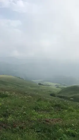 old video in my camera roll #mountains #fyp 