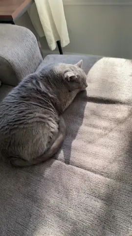 #LIVEIncentiveProgram #JustGoLIVE #PaidPartnership 