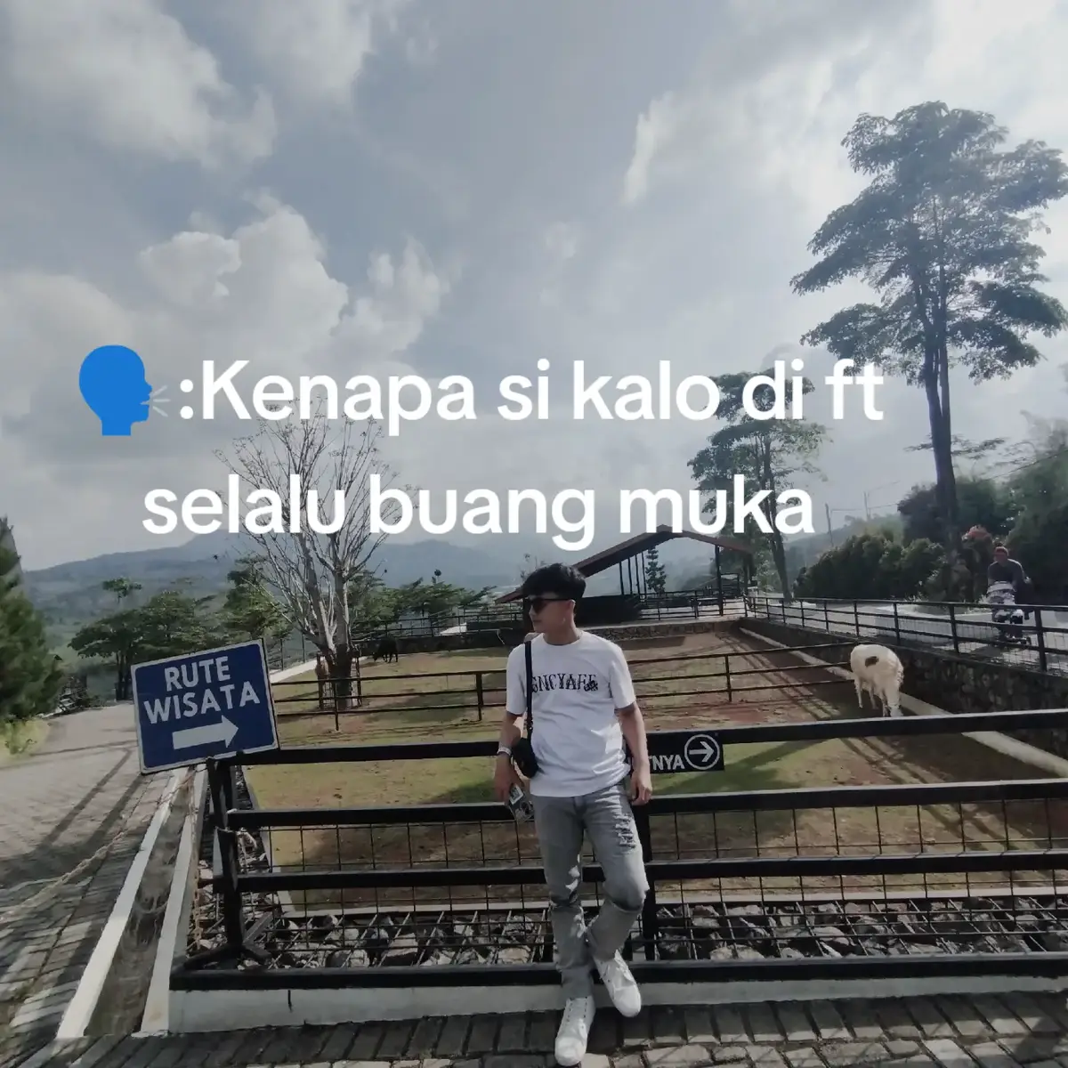 ...NYI NYI nyi