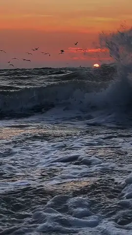 JIKA TAKDIR BUKAN KITA by CHANDRA LEE _ _ _#jikatakdirbukankita #chandralee #assalamualaikum #arie_ajis #ceritahatiinsan #lagumelayu #capcut #tiktokmalaysia #tiktokindonesia #laguviral #capcut 