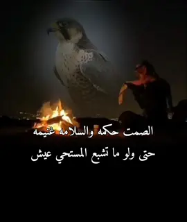 #creatorsearchinsights #ترند #ForYou #FYP #fypシ゚viral 