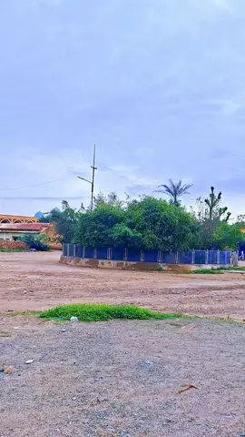 #eritreantiktok🇪🇷🇪🇷habesha #flypシ #eritreantiktok 