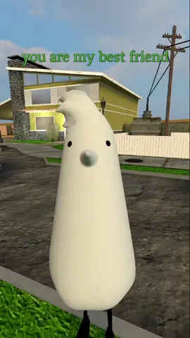 sillybird best friend message ✉️   send this your best friend 😃  🐣