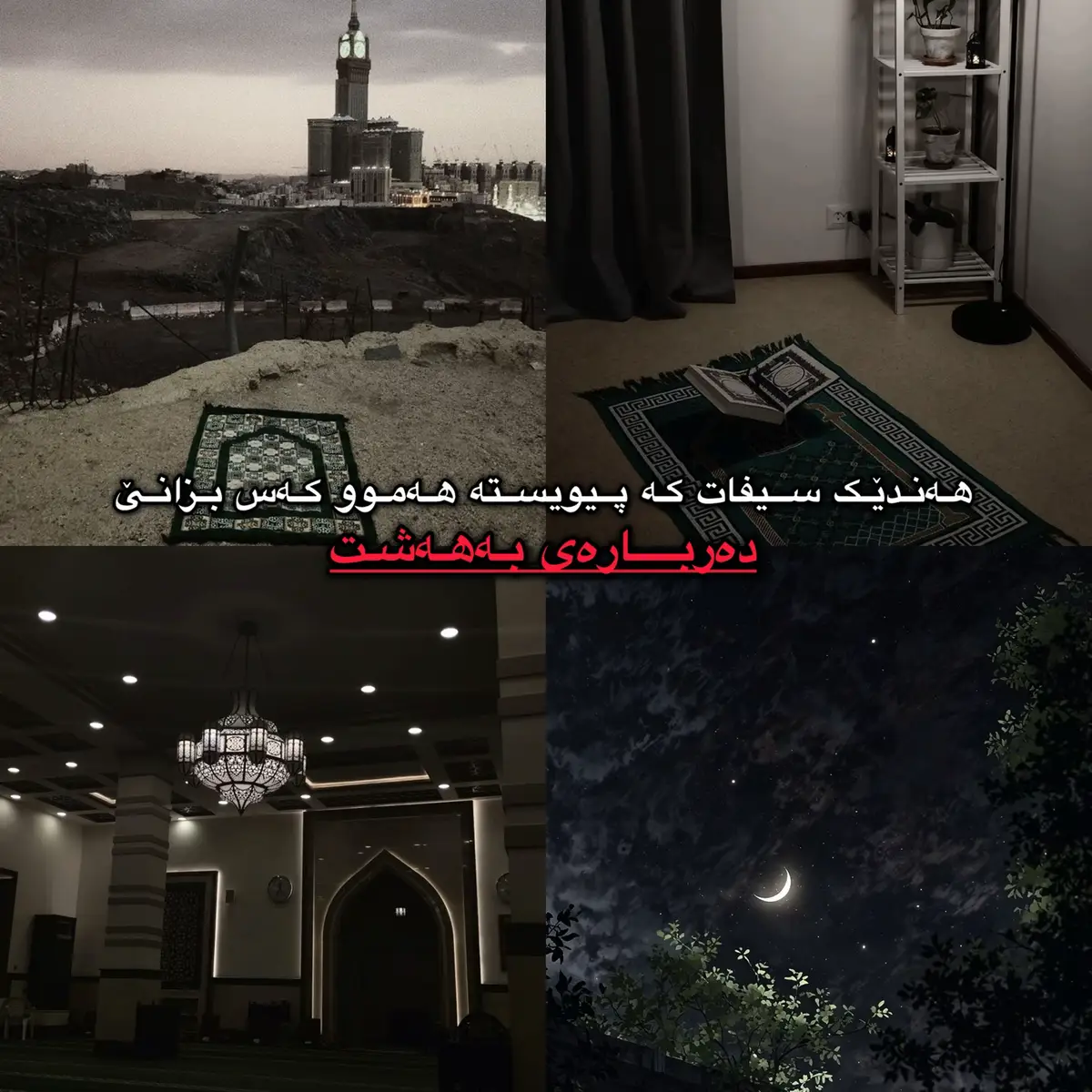#قورئان_ئارامی_دڵان🕋📿 #قورئانی_پیرۆز🌹 #foryou #foryoupage #quran 