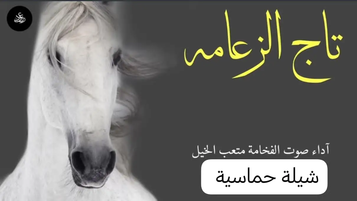 شيلة تاج الزعامه جديد اداء صوت الفخامه متعب الخيل 2025🔥شيلات طرب نار جديد 2025السعودية -//0536512459 قطر الامارات #الكويت  #الكويت //00966566886937 السعوديه ##للطلب الشيلات والزفات التواصل معنا وتساب د اخل_المملكه #شيلات_زفات_تخرجات_مواليد_عقد_قرآن_مولو ده_مولود_شيلات_خروج_من_السجن - شيلات - شفاء_وسلامه شيلات_تقاعد_تخرج_ملازم_تخرج_ملازم_تخرج_عسكري_تخ رج_من_الدفاع_المدني_الكويت_قطر_السعودية_الامارات_البحرين_الكويت_الرياض_المدينه_ابها_شيلات_حماسيه_طرر_ام_ العروس_شيلات_ام_العريس_شيلات_عرسان_شيلات_ام_العر وس_شيلات_ام_لعروسه_شيلات_خطوبه_زفات_بالاسماء_زفا ت_بدون_اسماء_كتابة_كلمات_جديدة _0536512459من_خارج_المملكه_ 00966536512459- استديو روائع زفات غناءالخليج _لتنفيذ_الشر يلات_والزفات والقصائد0566886937 الشعريه_لجميع_المناسبات_شيلات_ مهنا_العتيبي تنفيذبالاسماء0536512459// فهاد_العلي_النايف_فواز_العنزي_شيلات_بنت_ا بوها_شيلة_شامخه_بنت_ابوها_الرياض_جده_مكه_المكرمه_اد ها_قطر_البحرين_الكويت_الامارات_شيلات_سعد_محسن_شي لات_ناصر_السيحاني_شيلات_عز_السعود_شيلات_قايد_الوبير ي_2024_شيلات_فلاح المسردي_شيلات_الجفراني_شيلات_ بندر بن عويد_فهد_بن_فصلا_محمد_بن_غرمان_جديد_كتابة _كلمات جديدة 0566886937من خرج المملكه 00966536512459 استديو روائع زفات غناء الخليج #للطلب_الرابط_بالبايو📥 
