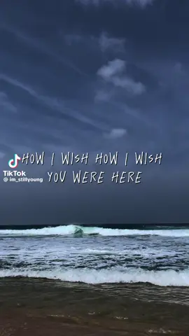 #pinkfloyd #fypシ゚viral #goat 