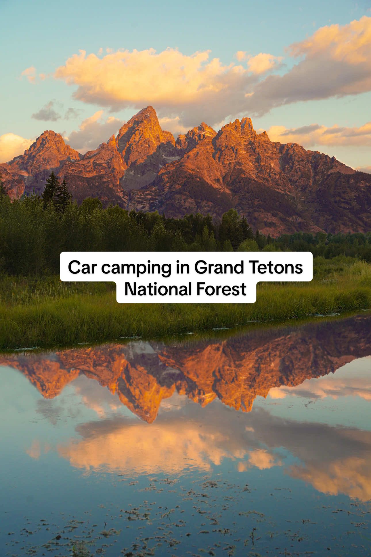 Skipped the hotel for Mountain View’s and dog cuddles instead 🏕️🐾 Dogs and camping aren’t allowed in Grand Teton National Park, but are allowed in the National Forest that borders the park where you can camp and still get incredible views!  🎥 @Sarah’s Sagas | Outdoor Travel  #grandtetons #carcamping #campingwithdogs #wyoming #mountainviews 