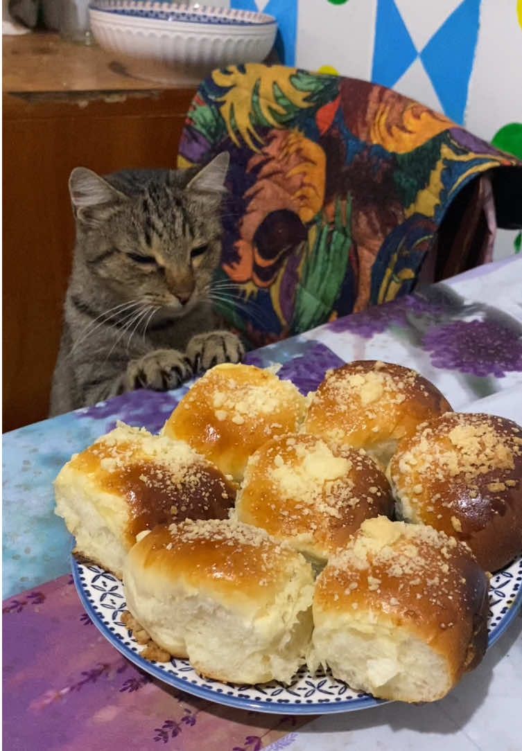 greedy little bun thief 🐱