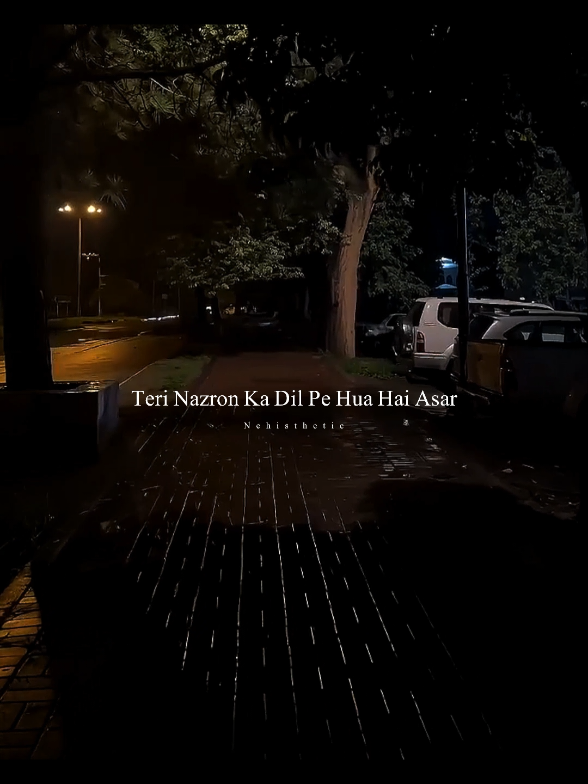 teri nazron ka dil p hua hai asar tu mera mehbob hai jana ♥️🪽 #capcut #viral #foryou #nehisthethic #lyrics_songs 