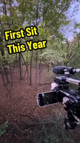 Finally in a tree #deerseason #whitetaildeer #whitetailbuck #bigbuck #Outdoors 