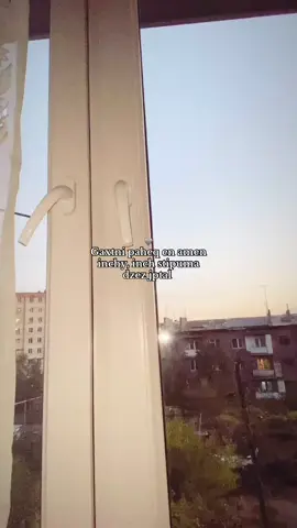 #HammAli #Navai #fup #Love #sunshiineee_ 🩶