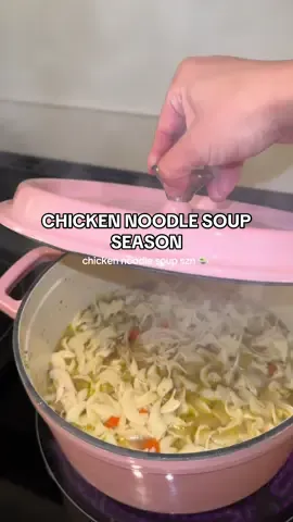 Chicken noodle soup szn 🍜 #chickennoodlesoup #chickensoup #cookware #prettyinpink #fyp 