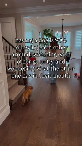 😆 #dogmom #relatable #dogs #momhumor 