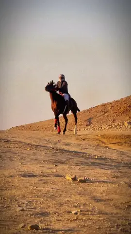 #فلسطين_أحساس_شاعر_لايك_فضلآ_وليس_أمرآ 