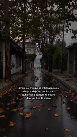 #CapCut 🍂🍁 #rain 