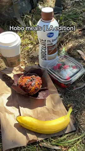 tryna do more interesting content lmk if this is the right direction or not #hobo #traveling #solo #la #california #trainhopper #hitchhiker #vagabond