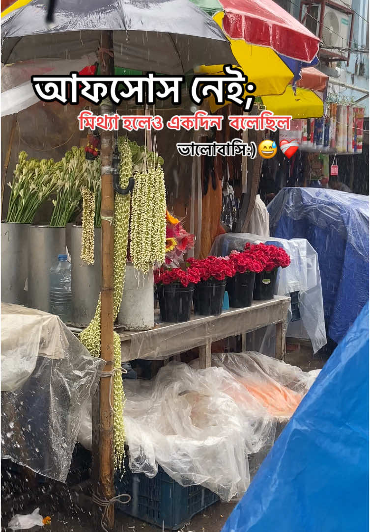 আফসোস নেই; মিথ্যা হলেও একদিন বলেছিল ভালোবাসি:)##foryoupage #foryou #bangladesh🇧🇩 #bangladeshtiktok #সাপোর্ট_করলে_সাপোর্ট_পাবেন @For You 
