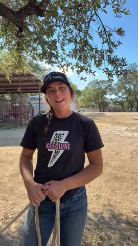 🤣🤣 just me being a professional! 😮‍💨 #horsetraining #horsemanship #horsetrainer #joke 