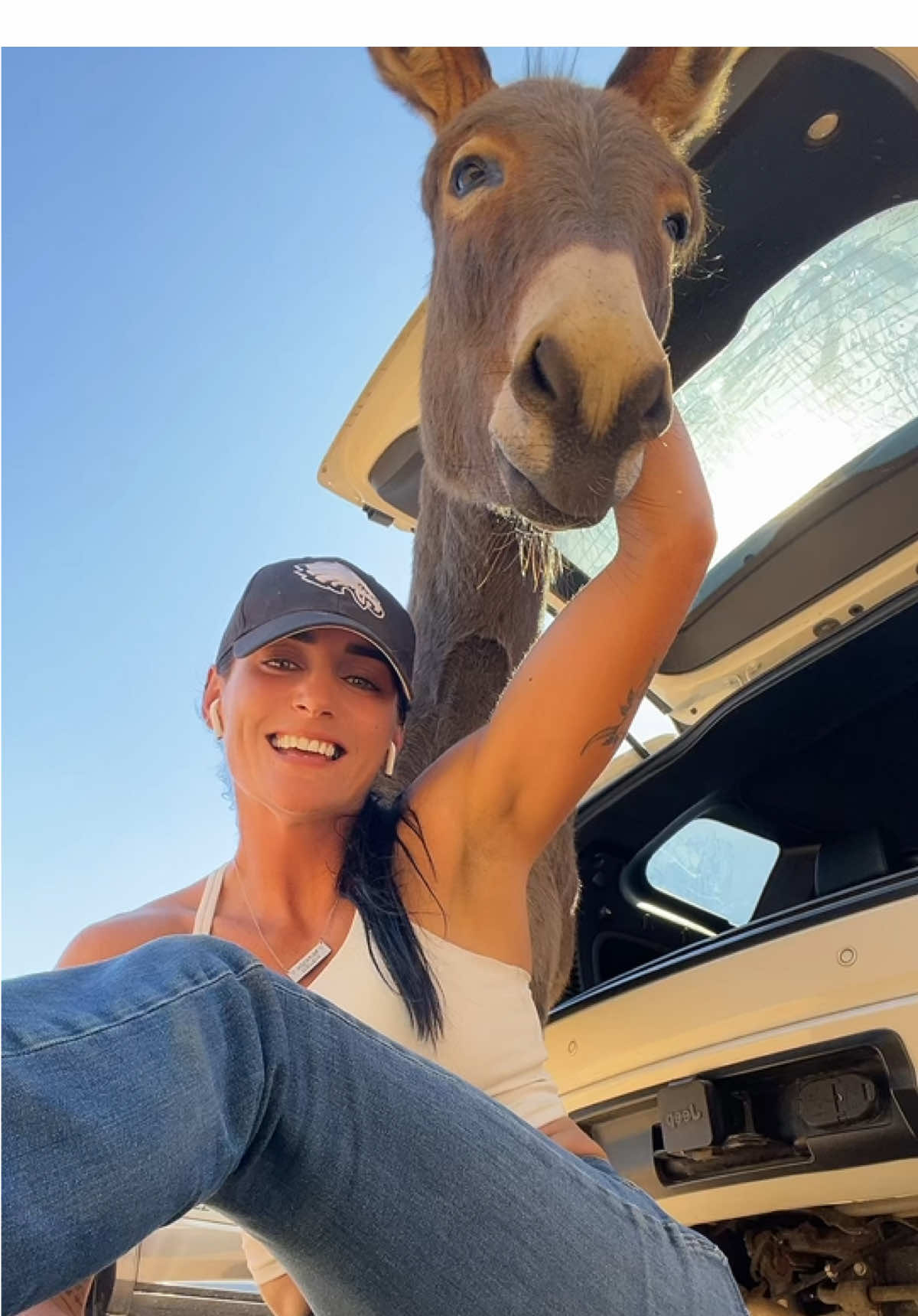 Donkey spam today! #donkeysoftiktok #donkey #havingfun