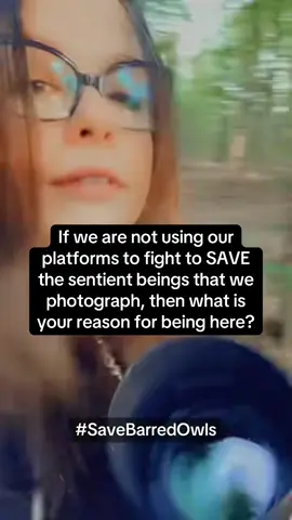 If we are not using our platforms to fight to SAVE the sentient beings that we photograph, then what is your reason for being here? Half 1 million owls on the West Coast of the United States need our help they are carrying out the state sanction slaughter in the night so not only will the Barred Owls come to investigate the sound of their own hoot on a loudspeaker so will the spotted owl and so will their hybrid love child the sparred owl!  The people carrying out and acting as the firing squad only get a 30 minute training course on Owl species, Barred Owls and spotted all look very similar and what they create together they won’t be able to tell the difference so technically three species of owls are being targeted. ##SaveBarredOwls ##BarredOwls ##ViralForGood