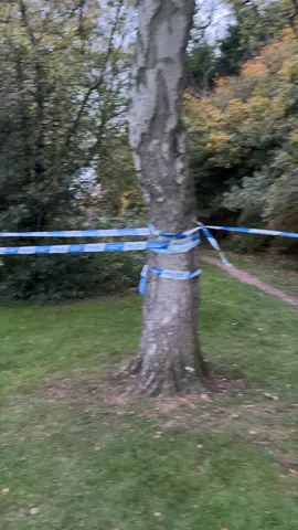 A woman was raped in Hurst Green park (Halesowen) yesterday at 7pm, this is less than a mile away from the Tame Road, Oldbury attack and 2 people have been arrested for both incidents. #news #fyp #reels 