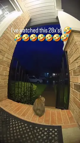 This took me TF out.🤣