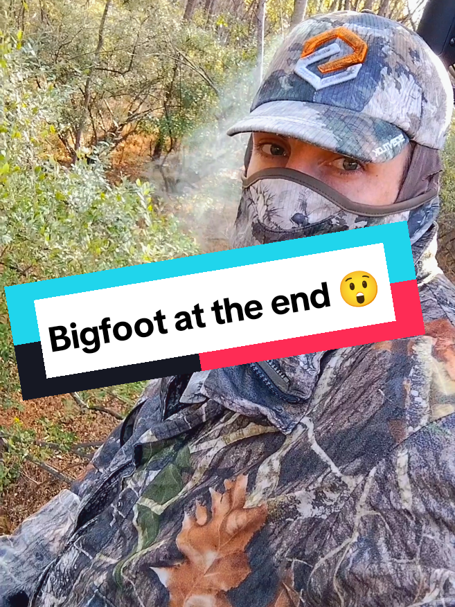 #deer #deerhunting #deerseason #nature nothing like a nice Friday night in a tree stand 🦌🎯🏹 