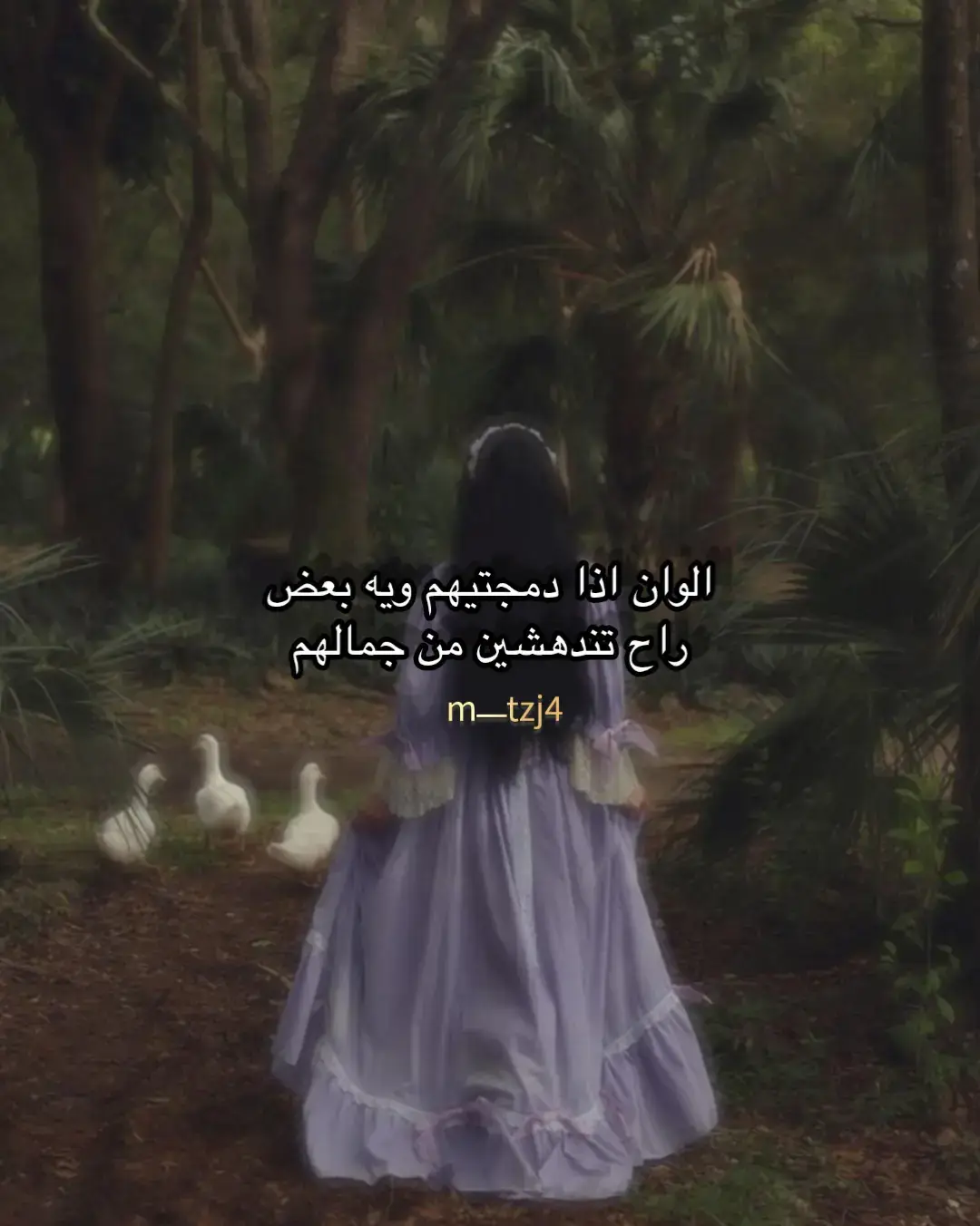 #تصميم_فيديوهات🎶🎤🎬 #foryou #explore #typ #اناقة_أنثى 