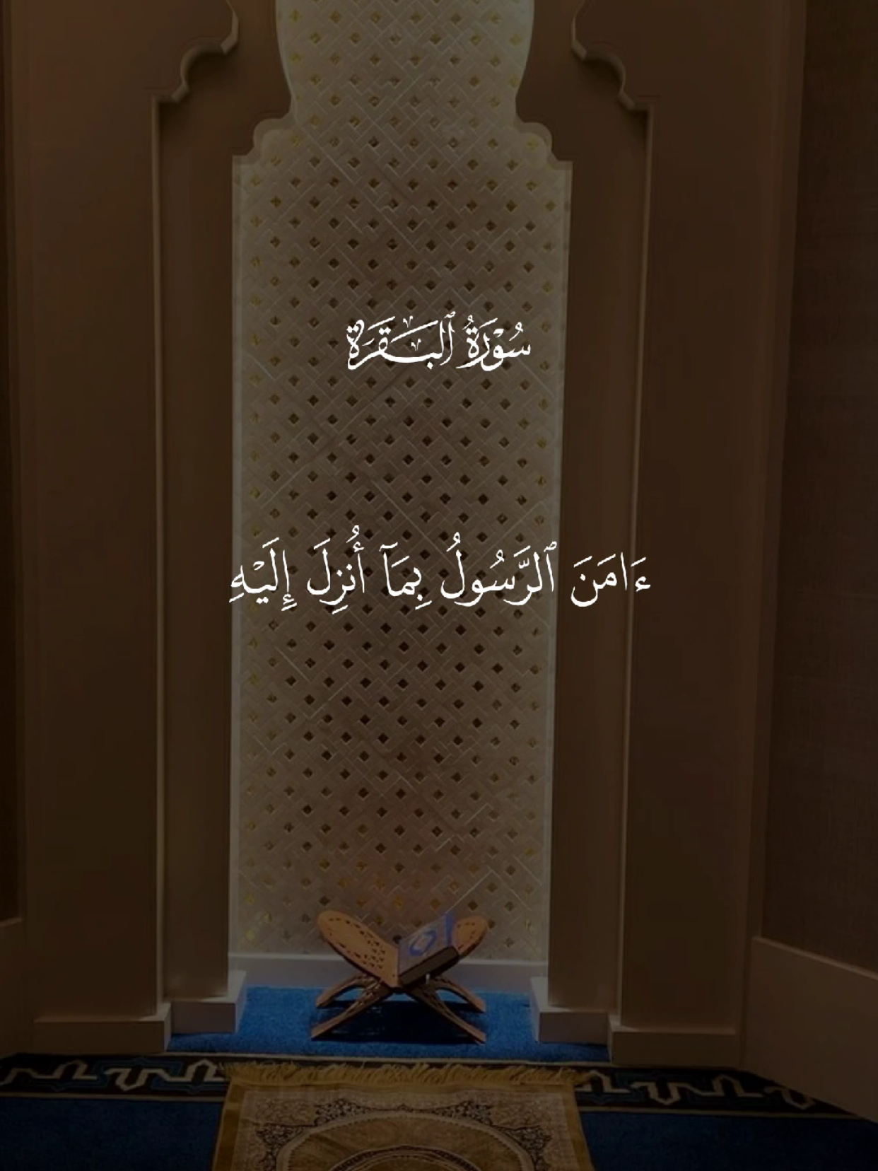 #قران #quran #قران_كريم #quran_alkarim #القران_الكريم 