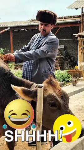 #🇺🇿 #🦅🦅🦅👑👑👑🦁🦁👑🖤🖤😎😎😎😎🦅🦅🦅 #РЕКОМЕНДАЦИИ #🤪🤪🤪🤪🤪 