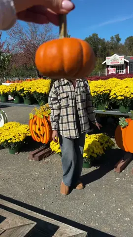 soaking in my favorite season while it lasts 